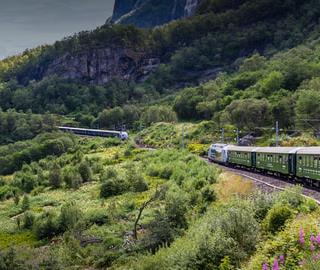 Voyages accessibles en train  © DR 