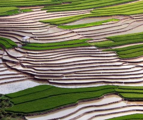 © Denis Chambon - Mu Cang Chai - Vietnam