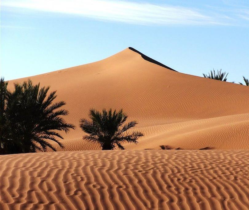 © Florent Leclerc - Dunes de la vallée du Drâa - Maroc