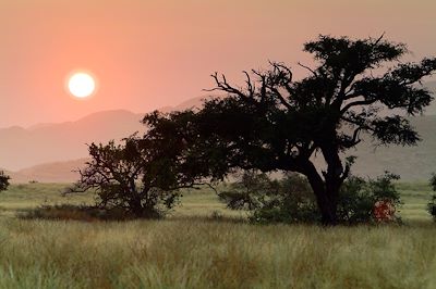Parc national d'Iona -  Angola