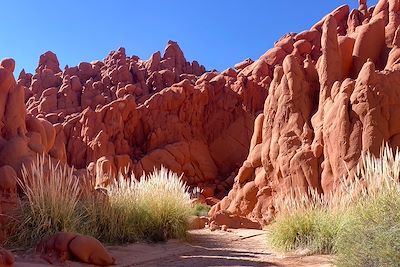 Randonnée au canyon Acsibi - Argentine