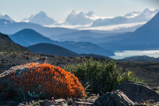 Trek Argentine Patagonie argentine