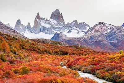 Parc Torres del Paine en automne - Patagonie - Chili