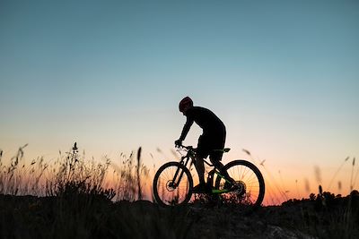 Cycliste 