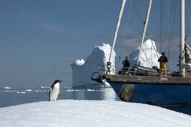 Navigation Antarctique Péninsule antarctique