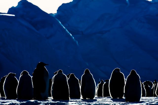 Navigation Antarctique Mer de Weddell