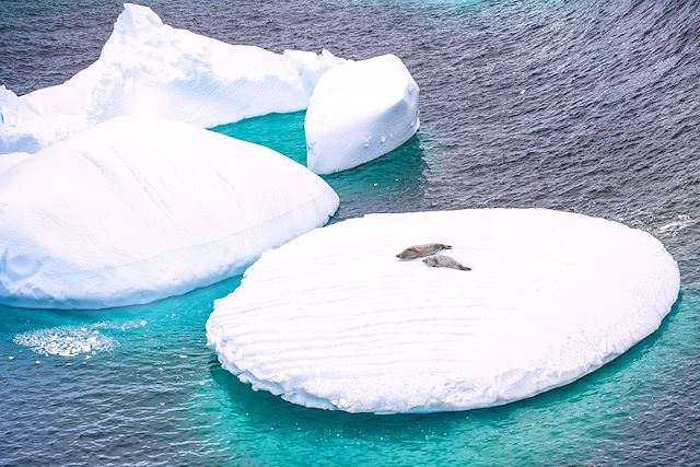 Navigation Antarctique Terre de Feu argentine