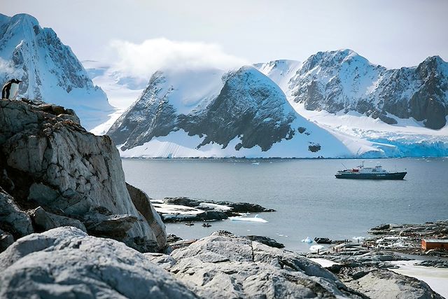 Navigation Antarctique Terre de Feu argentine