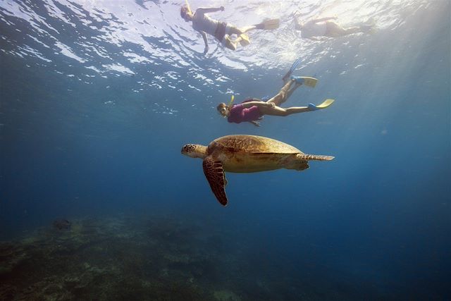 Randonnée Australie