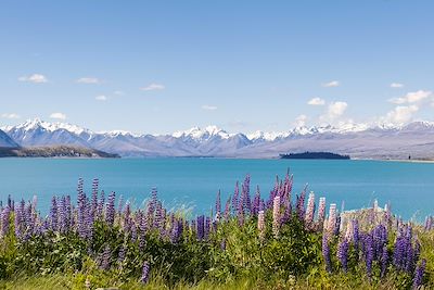 Du Bush Australien aux Sommets de Nouvelle-Zélande
