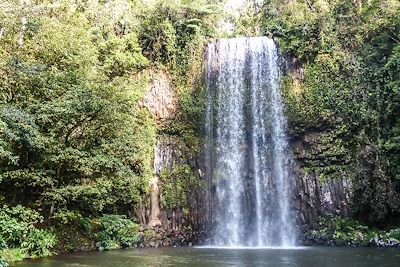 Cascade à Atherton Tablelands - Queensland - Australie