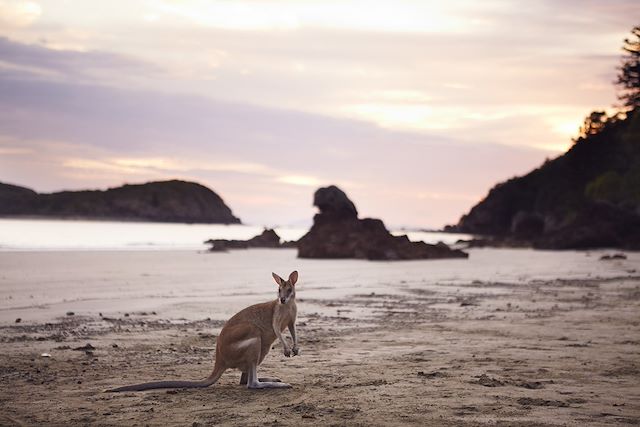 Multi-activités Australie