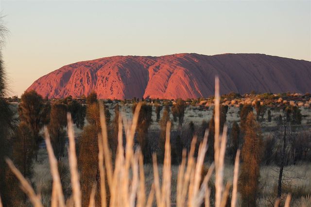 Observation animalière Australie