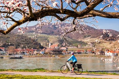 Vélo le long du Danube - Vallée de Wachau - Autriche