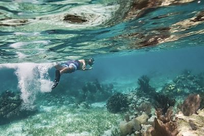 Snorkeling - Belize