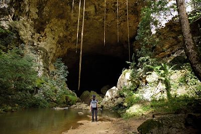 Grotte Rio Frio - Réserve Forestière de Mountain Pine Ridge - Belize