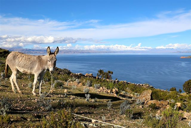 Alpinisme Bolivie