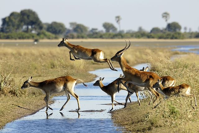 Autotour Botswana