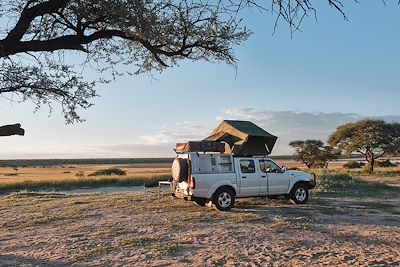 Botswana, rendez-vous en Terre africaine