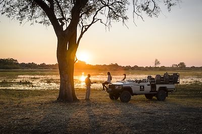 Safaris privés à Chobe, Savuti et Moremi 