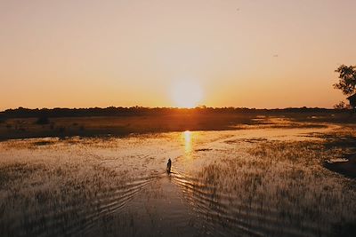 Chief's Camp - Réserve de Moremi - Botswana