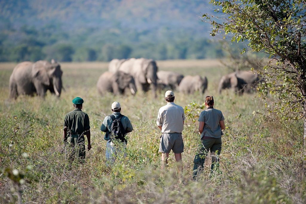 Voyage Botswana