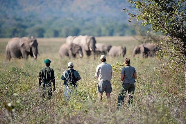 Safari à pied Botswana