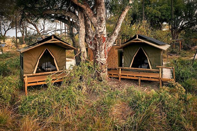 Safari à pied Botswana