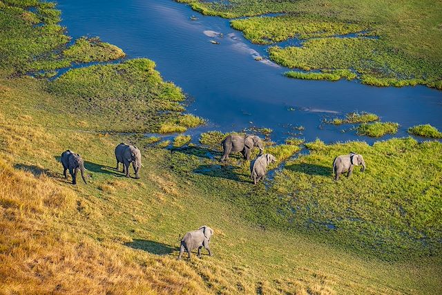 Safari en véhicule Botswana