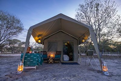 Safari en camp de toile au Botswana 