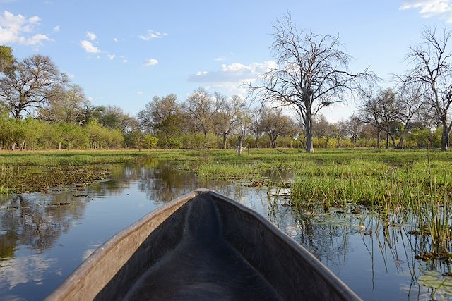 Safari en véhicule Botswana