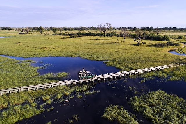 Safari Botswana