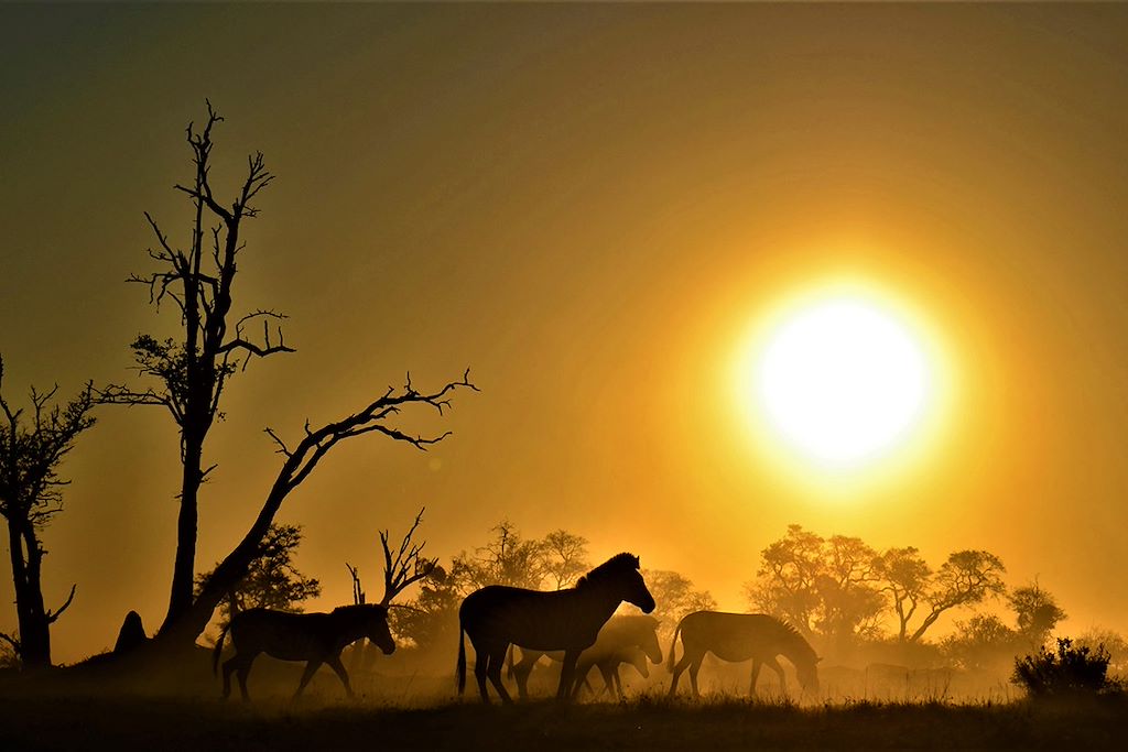 Découverte Botswana