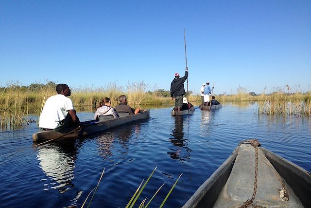 Safari Botswana