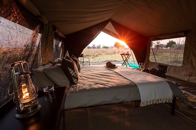 Safari Botswana