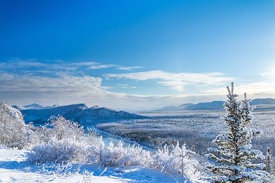 Voyage Yukon