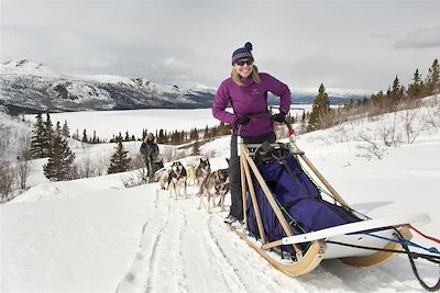 Chiens de traineau dans le Yukon - Canada