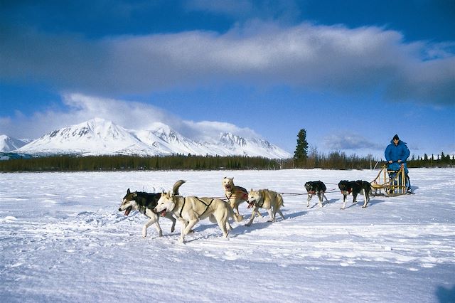 Traîneau à chiens Canada Yukon