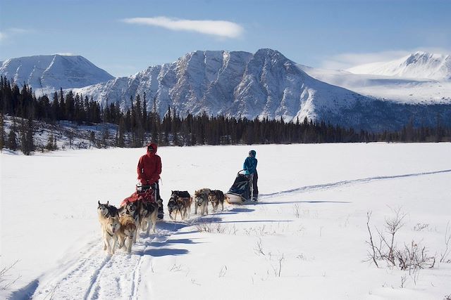 Traîneau à chiens Canada Yukon