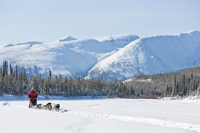 Traîneau à chiens Canada Yukon