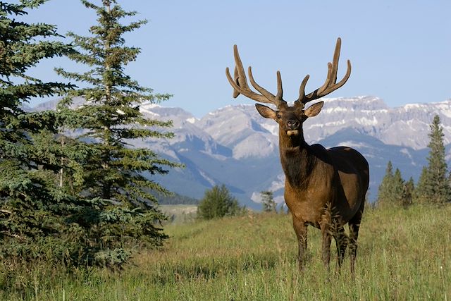 Randonnée Canada