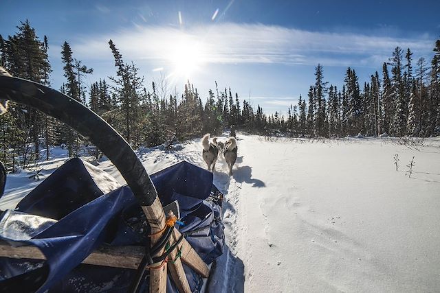 Traîneau à chiens Canada Québec