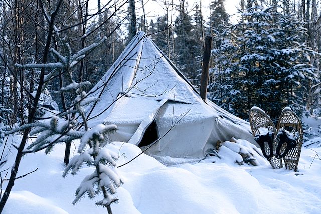 Traîneau à chiens Canada Québec