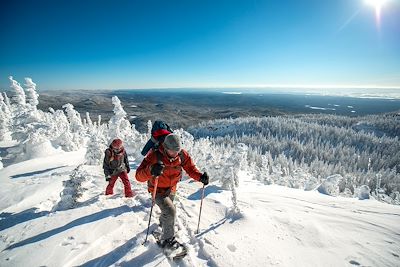 Aventure boréale au Québec