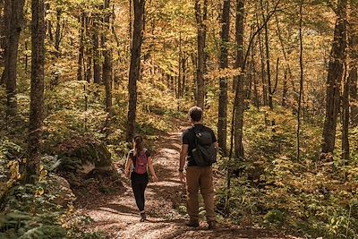 Randonnée dans le parc national de la Jacques-Cartier - Québec - Canada