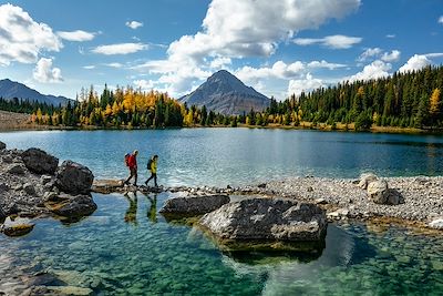 Voyage Alberta