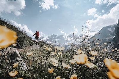Randonnée en Suisse
