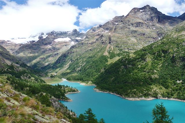 Trek Suisse