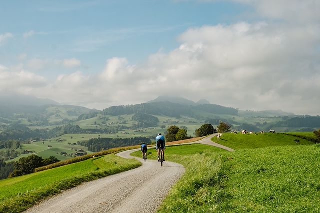 VTT / Gravel Suisse
