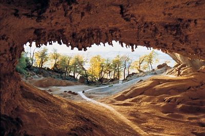 Cueva del Milodon - Antarctique - Magallanes - Chili